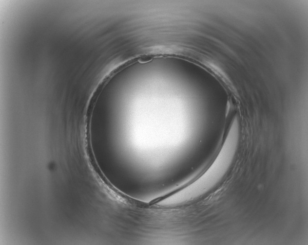 X0000067000992200604072144