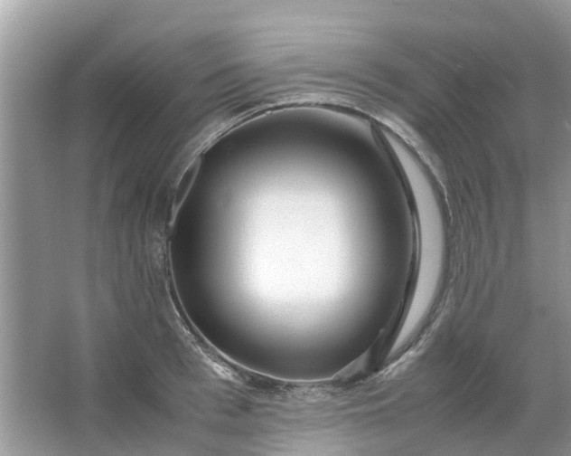 X0000067000993200604072144