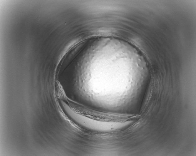 X0000067000994200604072144