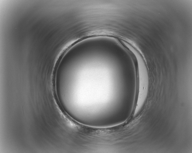 X0000067000995200604072144