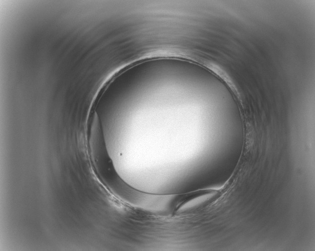 X0000067000996200604072144