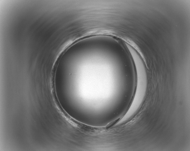 X0000067000997200604072144