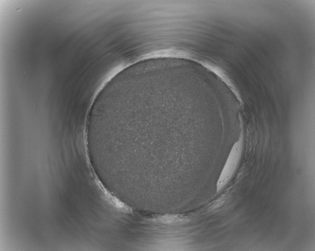 X0000067000998200604072144