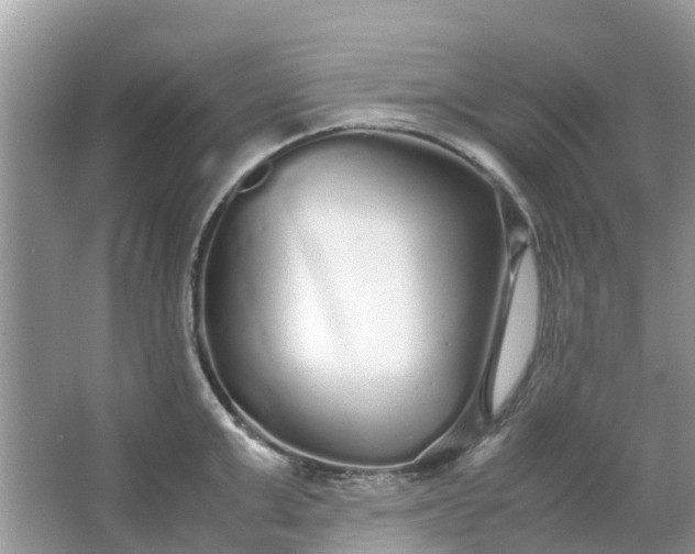 X0000067000999200604072144