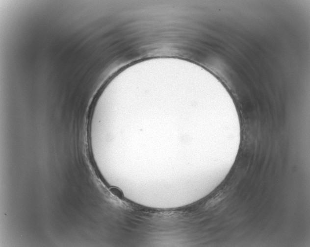 X0000067001000200604072144