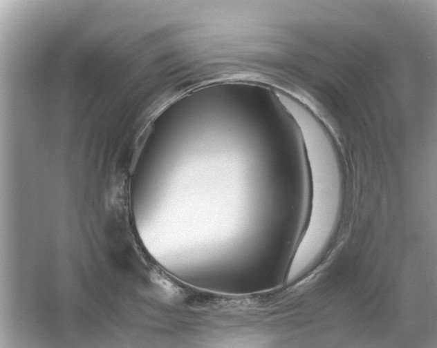 X0000067001001200604072144