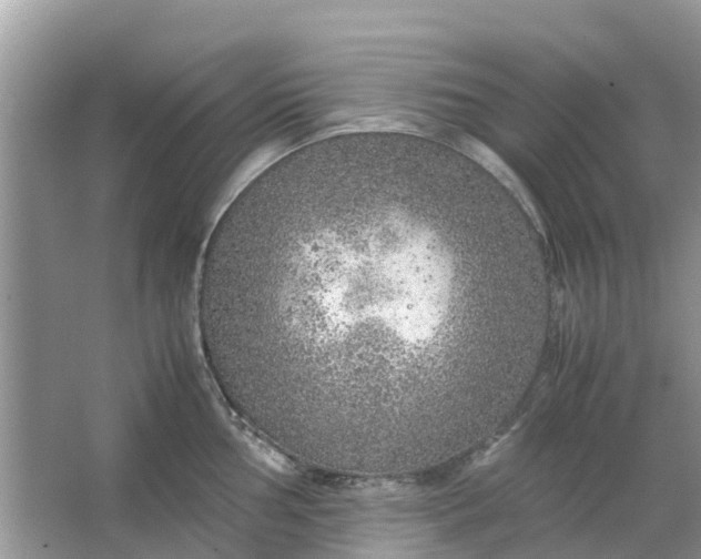 X0000067001002200604072144