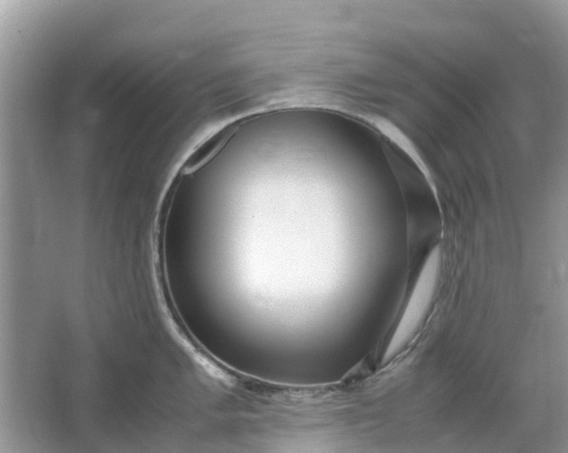 X0000067001005200604072144