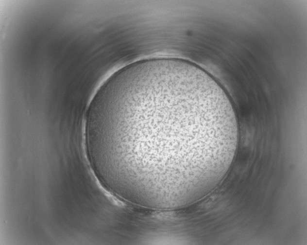 X0000067001006200604072144