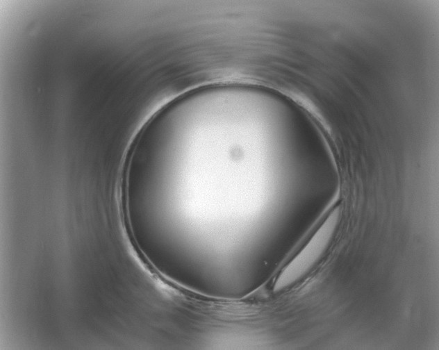 X0000067001007200604072144