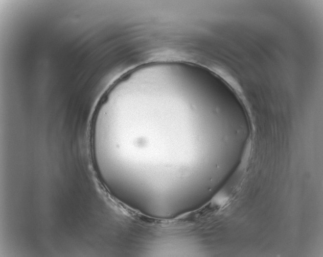 X0000067001008200604072144