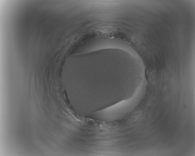 X0000067001009200604072143