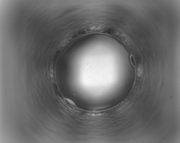 X0000067001011200604072143