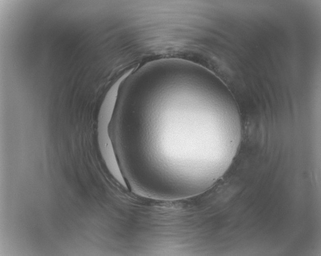 X0000067001012200604072143