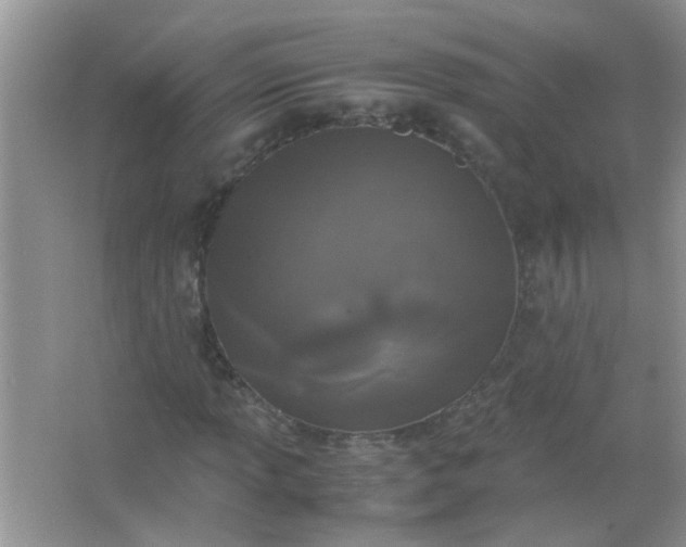 X0000067001013200604072143