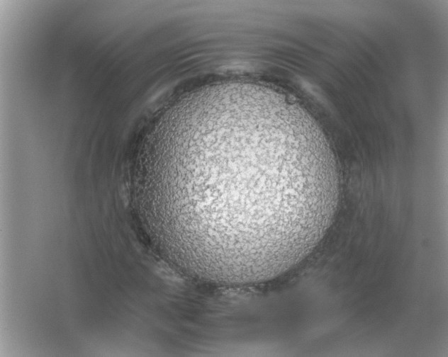 X0000067001015200604072143