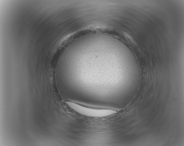 X0000067001016200604072143