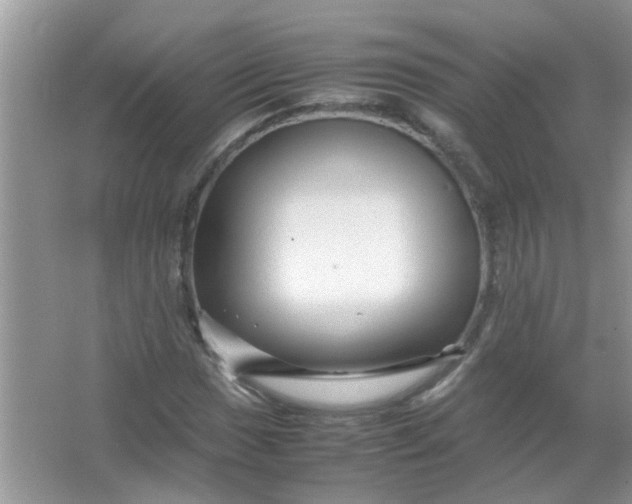 X0000067001017200604072143