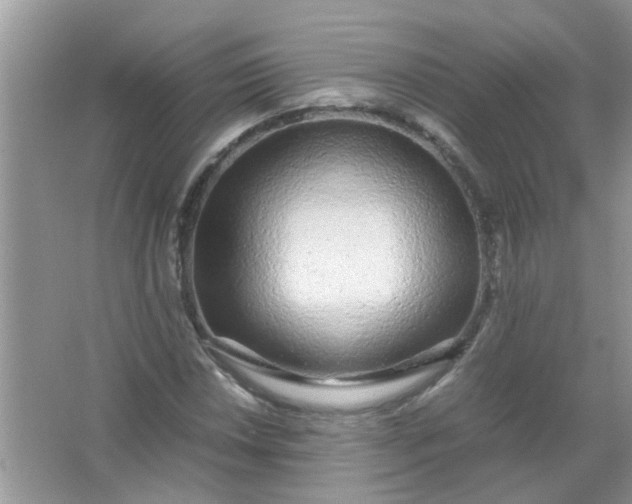 X0000067001018200604072143