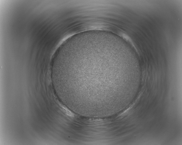 X0000067001019200604072143