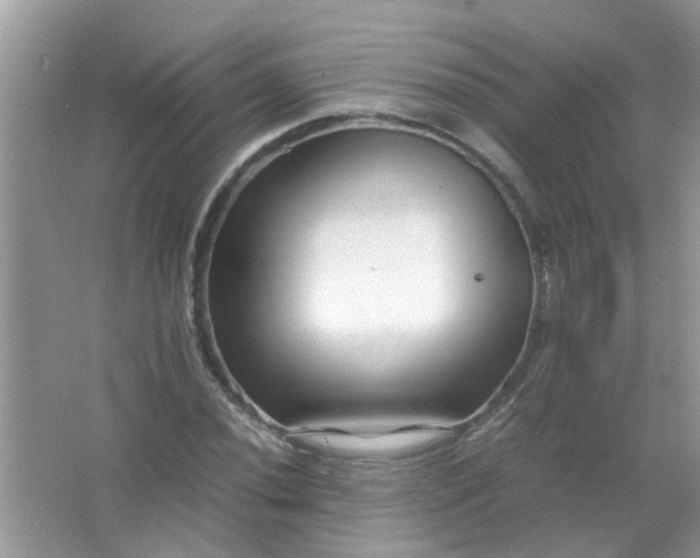 X0000067001020200604072143