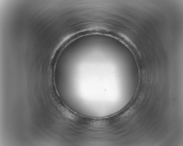 X0000067001021200604072143