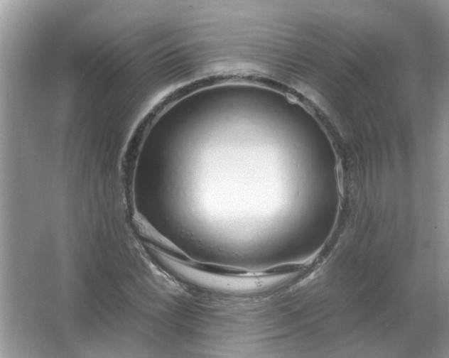 X0000067001022200604072143