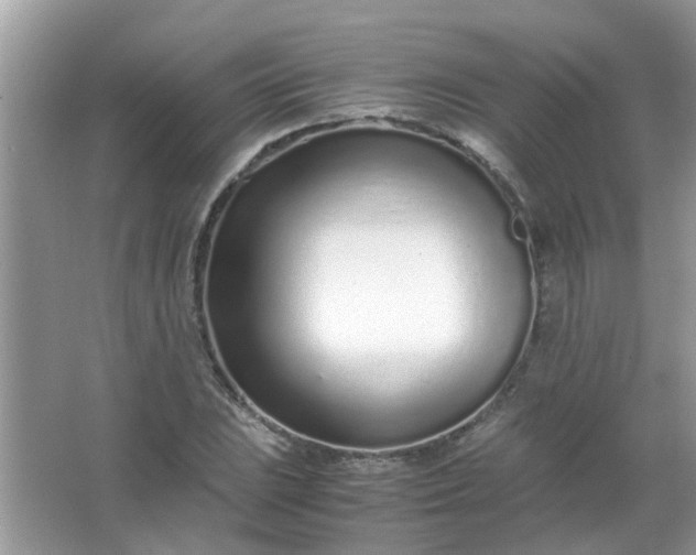 X0000067001023200604072143