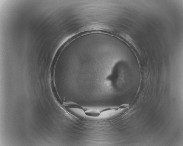 X0000067001024200604072143