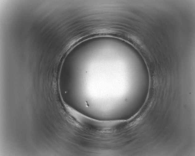 X0000067001025200604072143