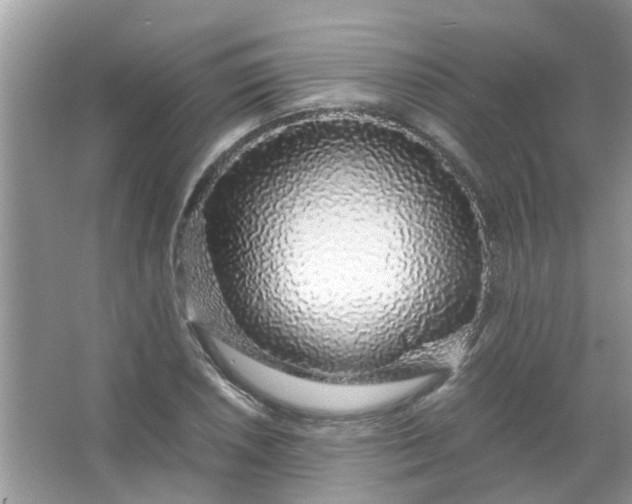 X0000067001026200604072143