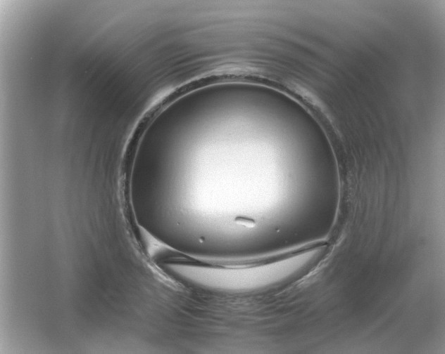 X0000067001029200604072143