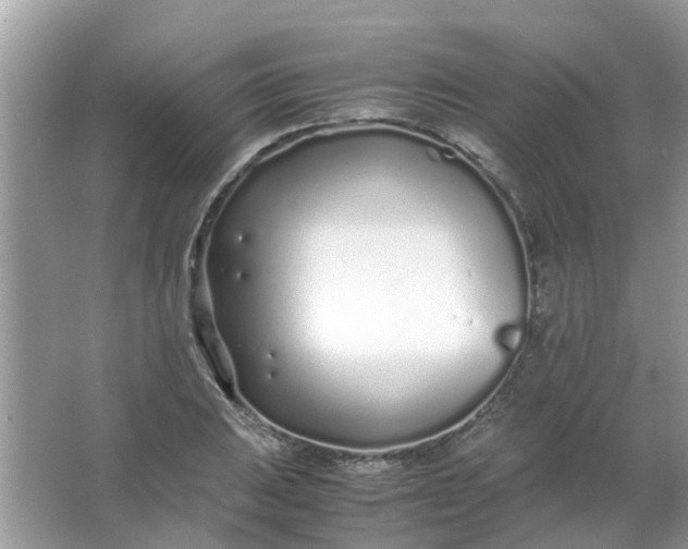 X0000067001031200604072144