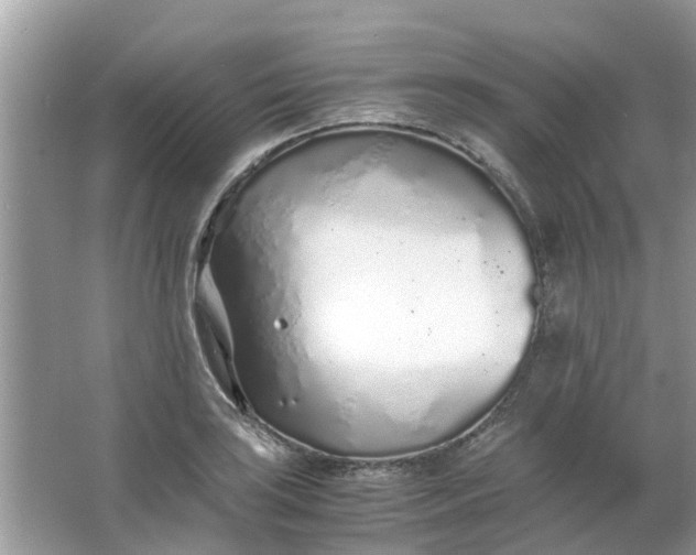 X0000067001035200604072144