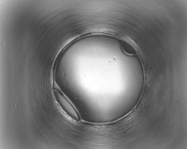 X0000067001036200604072144