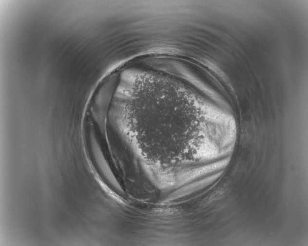 X0000067001037200604072144