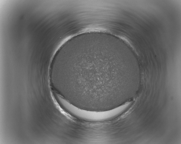 X0000067001038200604072144