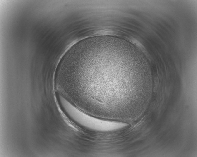 X0000067001039200604072144