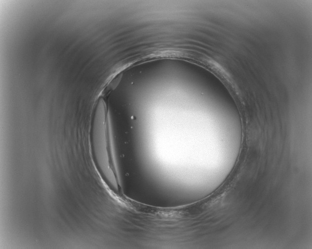 X0000067001041200604072144