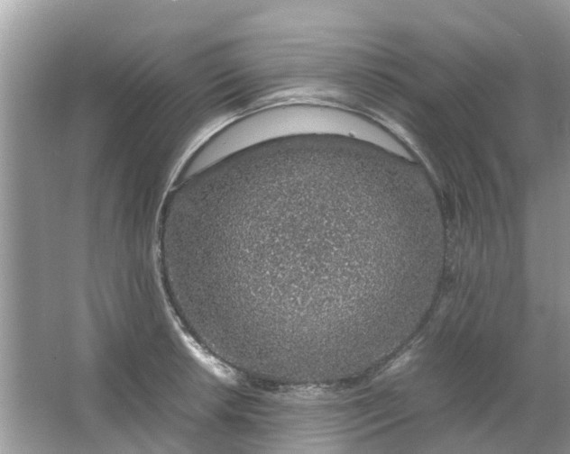 X0000067001042200604072144