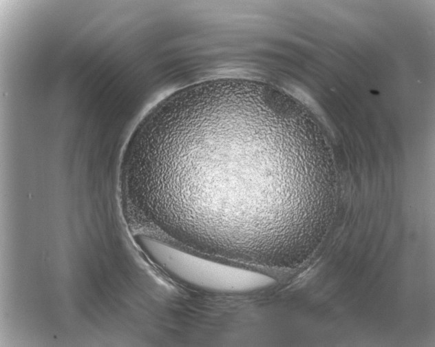 X0000067001043200604072144