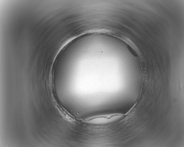 X0000067001044200604072144