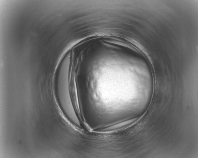 X0000067001045200604072144