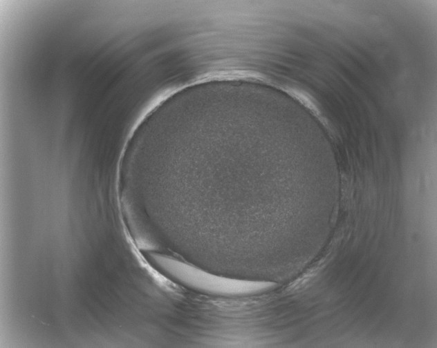 X0000067001046200604072144