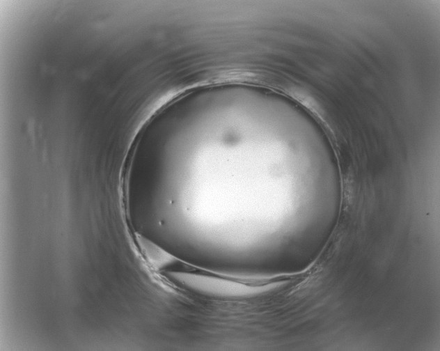 X0000067001047200604072144