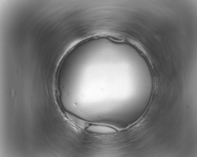 X0000067001048200604072144