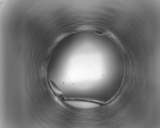 X0000067001049200604072144