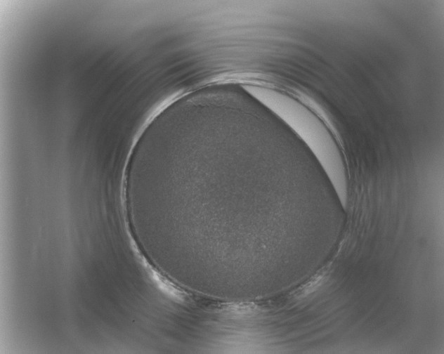 X0000067001050200604072144