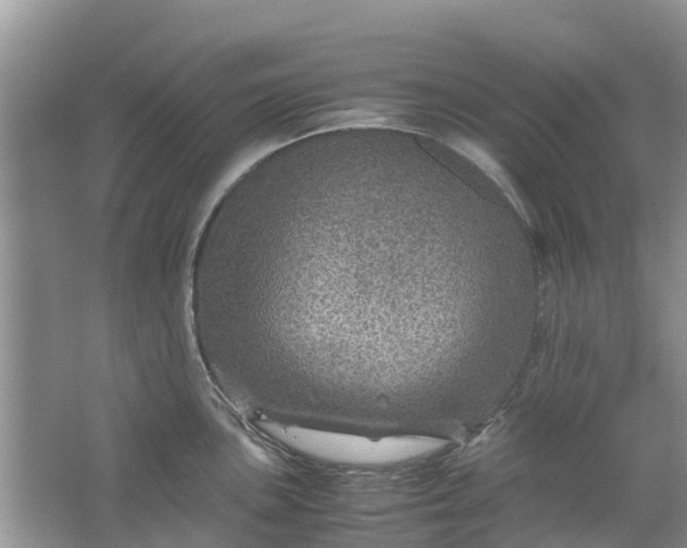 X0000067001051200604072144