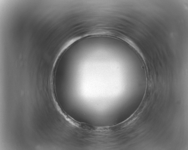 X0000067001053200604072144